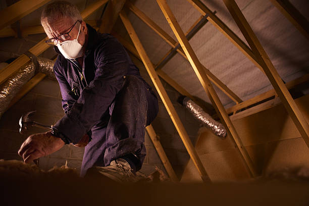 Best Insulation Installation Services in Wyomissing, PA